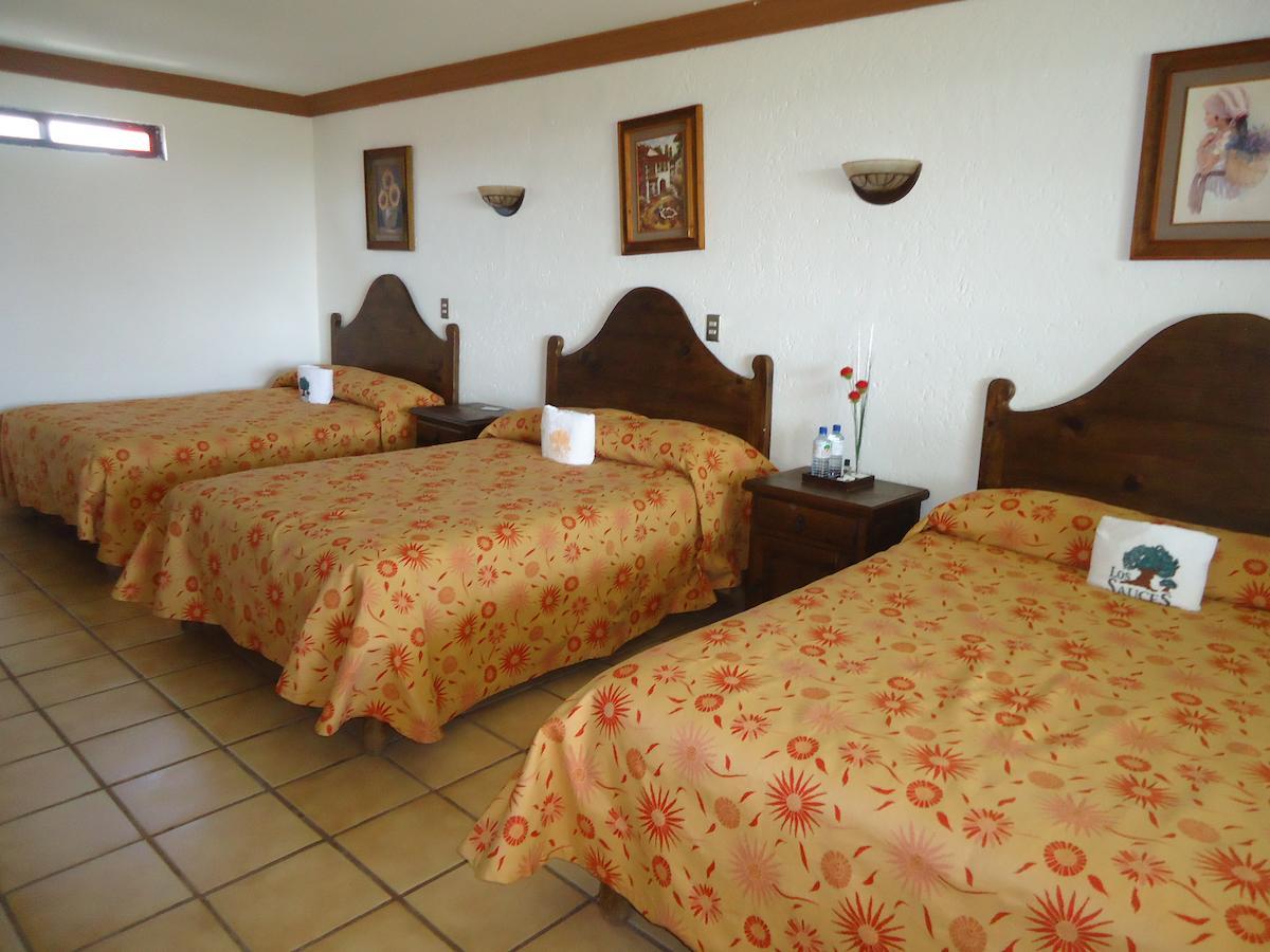 Hotel Los Sauces Villa Del Carbon Værelse billede